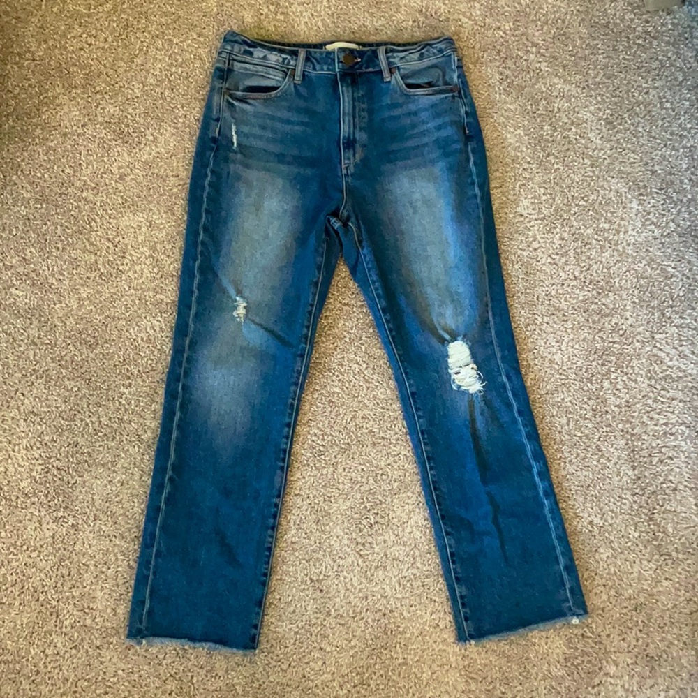 Articles of Society Dark Wash Jeans